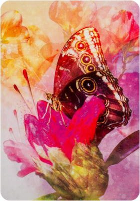 Карты Таро. "Butterfly Affirmations" / Аффирмация бабочек,  Blue Angel