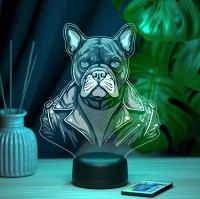 3D ночник Пес в куртке