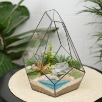 Готовый флорариум с суккулентами Кристалл