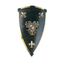 Щит рыцарский "Карла V"