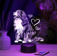 3D ночник Бернский зенненхунд