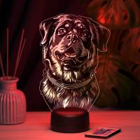 3D ночник Ротвейлер
