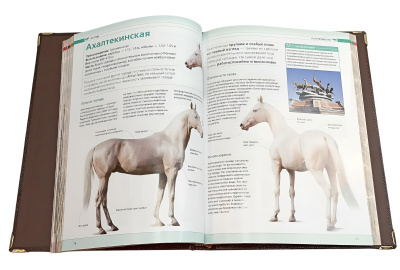 Книга Лошади. Новая энциклопедия (в коробе)
