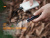 фонарь Fenix E05R зелёный