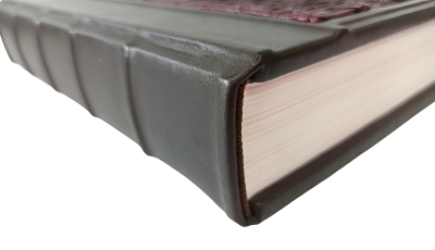 Книга Великие русские путешественники, арт.519922