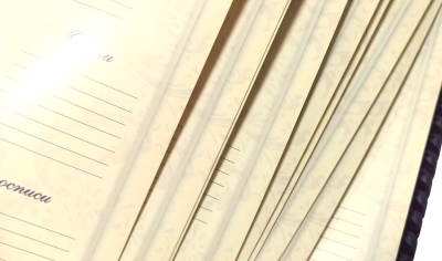 Родословная книга "Семейный альбом", ламинат Родословная книга "Семейный альбом", ламинат