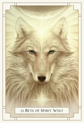 Карты Таро: "White Light Oracle"