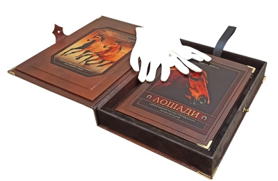Книга Лошади. Новая энциклопедия (в коробе)
