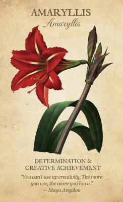 Карты Таро. "Botanical Inspirations Deck/Book Set" / Ботанические вдохновения,  US Games 