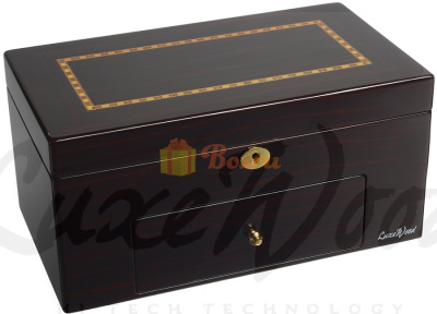 Шкатулка для хранения 20ти часов, Luxewood, LW807-20-5 