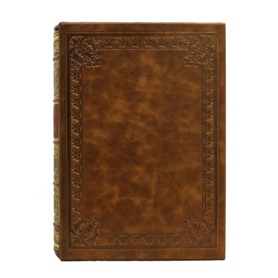 Книга История Петра Великого.