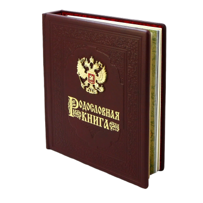 Родословная книга «Гербовая» с литым гербом, кожа