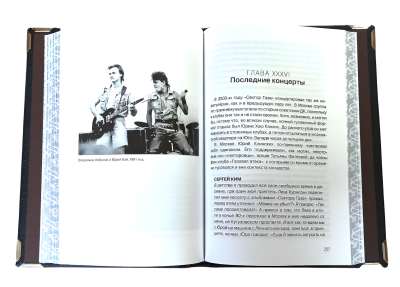 Книга Юрий Хой и группа "Сектор Газа"