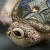 Статуэтка керамическая "Морская черепаха"