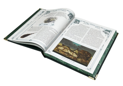 Книга Большая книга русской рыбалки. Леонид Сабанеев (в коробе)
