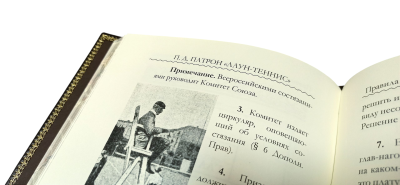 Книга Лаун. Теннис. История его развития, техника и тактика игры