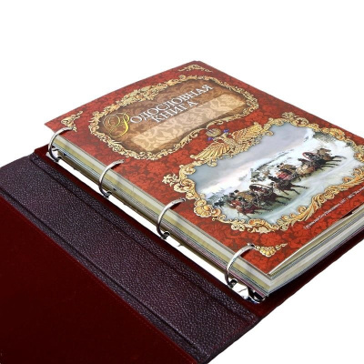 Родословная книга "Изысканная"с золоченым древом, экокожа Родословная книга "Изысканная"с золоченым древом, экокожа