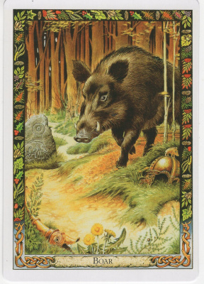 Карты Таро. "Druid Animal Oracle Deck Reissue" / Оракул животных друидов (Переиздание колоды), Welbeck Publishing