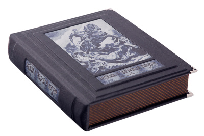 Книга Витязь в тигровой шкуре. Руставели Ш.
