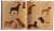 Книга Собаки
