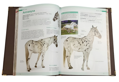 Книга Лошади. Новая энциклопедия (в коробе)