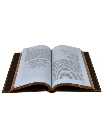 Книга Тайные игры спецслужб