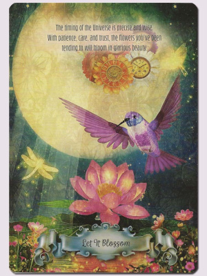 Карты Таро "Hummingbird Wisdom Oracle Cards" Red Feather / Оракул мудрости колибри