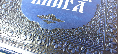 Родословная книга «Художественная», синяя с гербом, кожзам