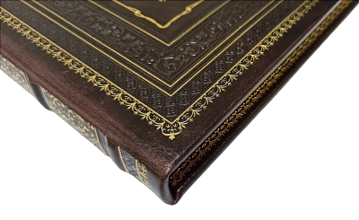 Книга Лаун. Теннис. История его развития, техника и тактика игры