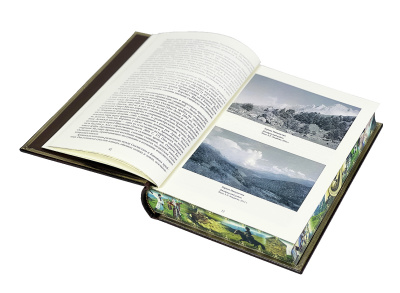 Книга Ингуши. Народы и культуры