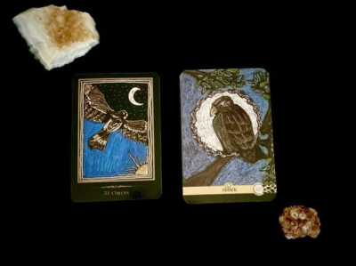 Карты таро. "The Wild Elemental Oracle" / Оракул дикой стихии, RED Feather