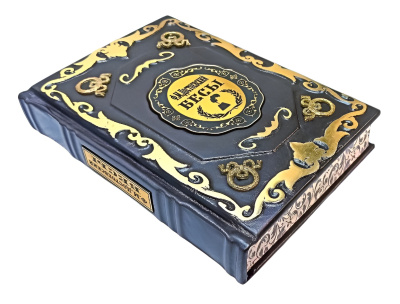 Книга Достоевский. Бесы