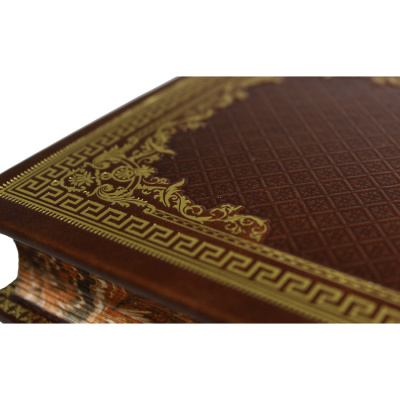 Книга Библиотека русской классики (в 100 томах)