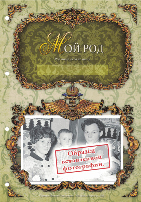 Родословная книга «Художественная. Свадебная» с гербом, кожзам бежевая