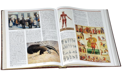 Книга Владимир Даль. Иллюстрированный толковый словарь живого великорусского языка