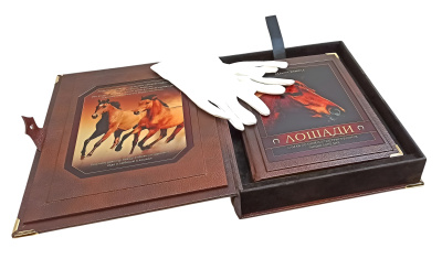 Книга Лошади. Новая энциклопедия (в коробе)