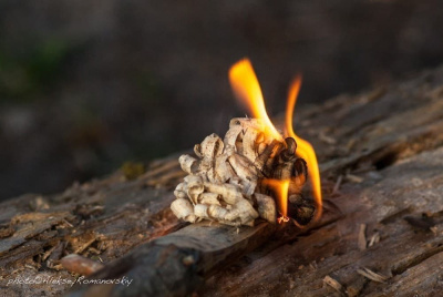 Нож Ganzo (Ганзо) G8012 пустынный желтый Нож Ganzo (Ганзо) G8012 пустынный желтый