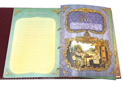 Родословная книга «Изысканная», Летописец, кожа