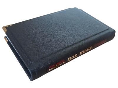 Книга Юрий Хой и группа "Сектор Газа"