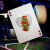 Карты "Theory11 Teenage Mutant Ninja Turtles Playing Cards"