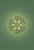 Карты Таро: "Sacred Earth Oracle"