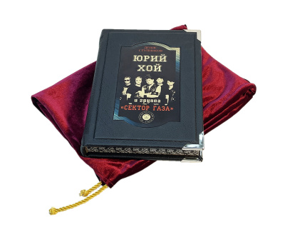 Книга Юрий Хой и группа "Сектор Газа"