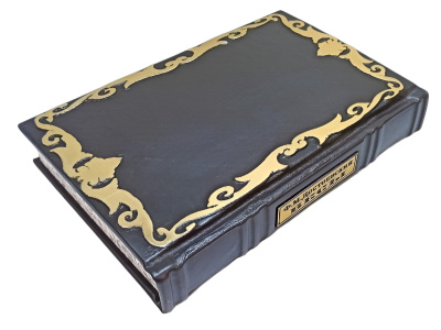 Книга Достоевский. Бесы