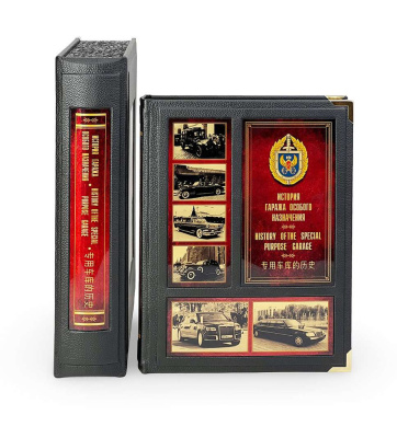 Гараж особого назначения (в коробе) Гараж особого назначения (в коробе)