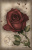 Карты Таро: "Under the Roses Lenormand"