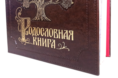 Родословная книга "Изысканная"с золоченым древом, экокожа Родословная книга "Изысканная"с золоченым древом, экокожа
