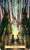 Карты Таро: "Everyday Witch Tarot"