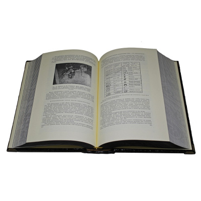 Настольная книга следователя. Репринт (в коробе)