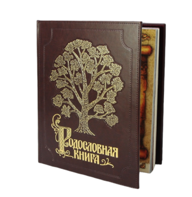 Родословная книга "Изысканная"с золоченым древом, экокожа
