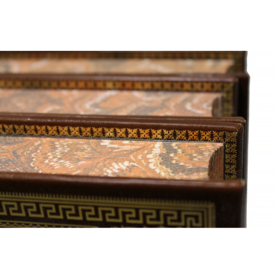 Книга Библиотека русской классики (в 100 томах)